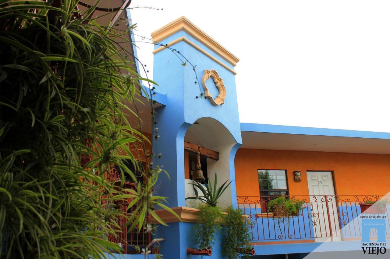Hotel Hacienda Del Viejo Matamoros  Eksteriør bilde