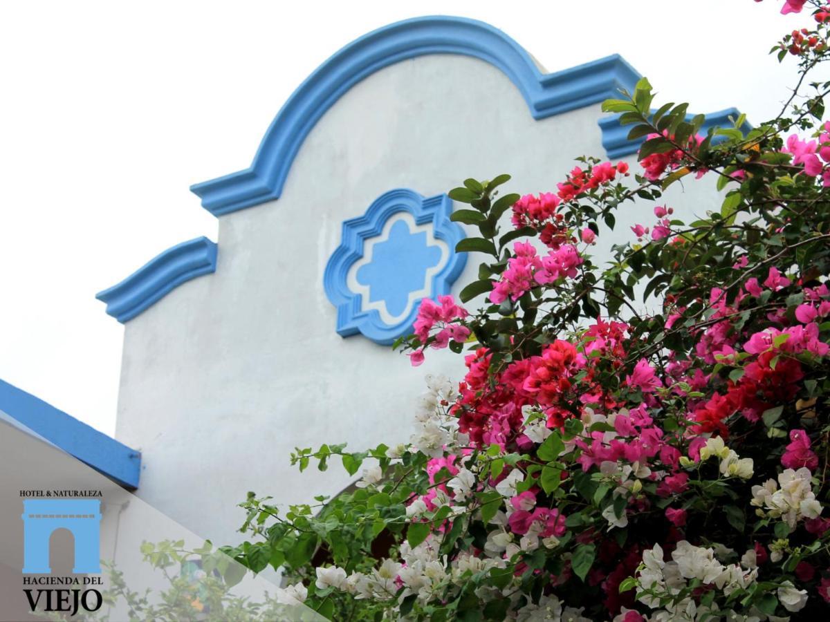 Hotel Hacienda Del Viejo Matamoros  Eksteriør bilde