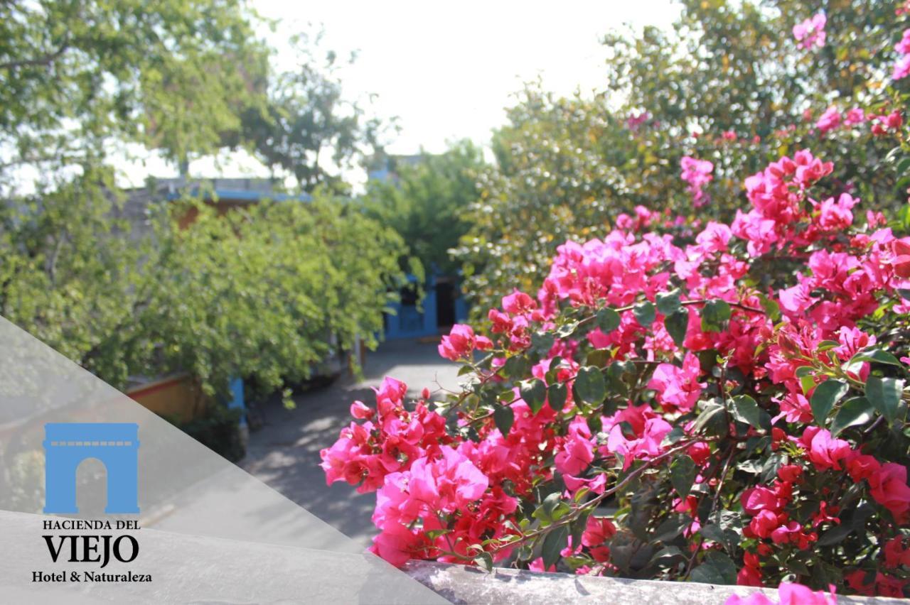 Hotel Hacienda Del Viejo Matamoros  Eksteriør bilde
