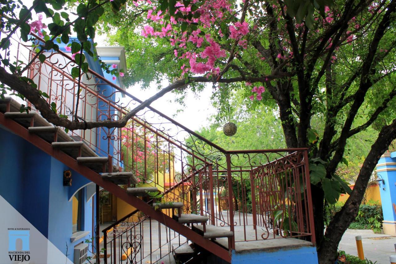 Hotel Hacienda Del Viejo Matamoros  Eksteriør bilde